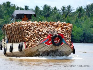 Boot Kokusnuss Vietnam Mekong