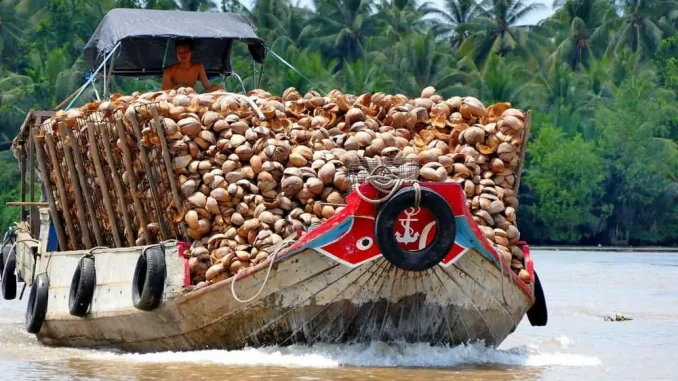 Boot Kokusnuss Vietnam Mekong